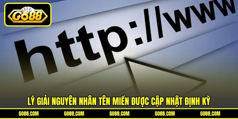Lý giải nguyên nhân tên miền được cập nhật định kỳ