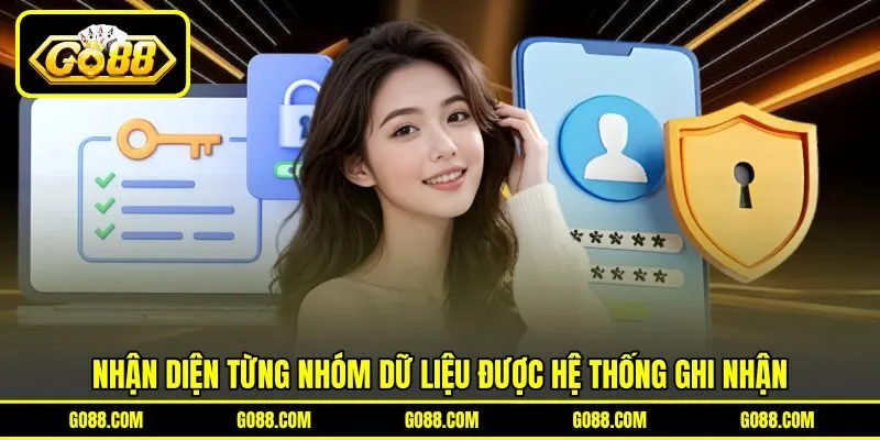 Nhận diện từng nhóm dữ liệu được hệ thống ghi nhận